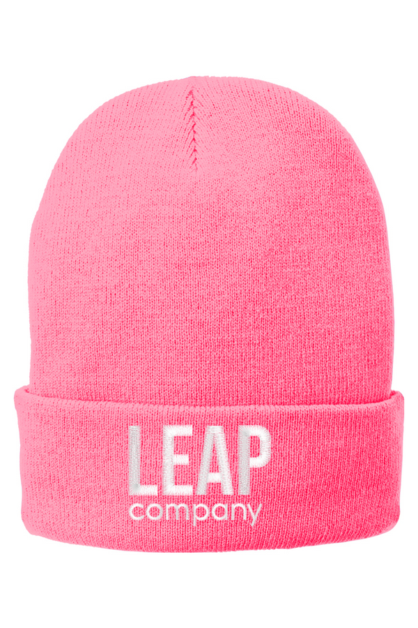 Leap: Fleece-Lined Knit Cap